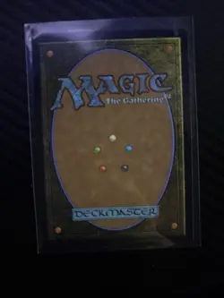 MTG - Perch Protection - Extended Art- Bloomburrow Commander- NM - Image 2