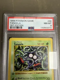1st Edition Shadowless Tangela 66/102 Base Set Pokemon Card PSA 8 graded slab - Image 2