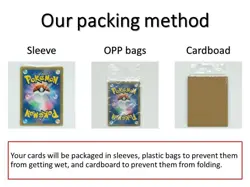 Pokemon Card Japanese Lycanroc Midnight ex RR 050/073 sv1a Triplet Beat - Image 2