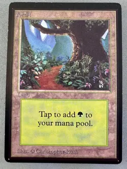 Forest 301 (A) MTG Beta Limited Edition—Lightly Played Excellent—Vintage Magic - Image 1