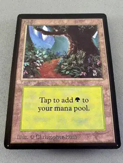Forest 301 (A) MTG Beta Limited Edition—Lightly Played Excellent—Vintage Magic - Image 3