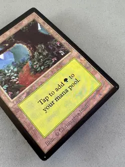 Forest 301 (A) MTG Beta Limited Edition—Lightly Played Excellent—Vintage Magic - Image 4