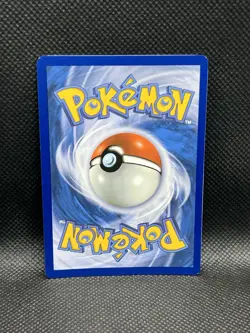 Dachsbun ex 169/142 SIR Stellar Crown Sv07 SPECIAL ILLUSTRATION RARE Pokemon TCG - Image 2