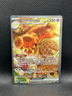 Dachsbun ex 169/142 SIR Stellar Crown Sv07 SPECIAL ILLUSTRATION RARE Pokemon TCG - Image 3