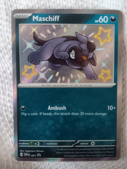 Maschiff SVP071 Black Star Promos Paldean Fates Shiny Holo Pokemon TCG 2023 NM - Image 1