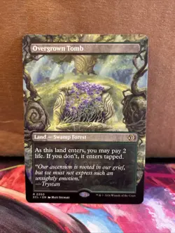 Overgrown Tomb (Borderless) Lorwyn Eclipsed Regular Near Mint - Image 1