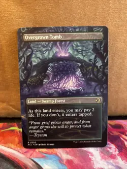 Overgrown Tomb (Borderless) Lorwyn Eclipsed Regular Near Mint - Image 2