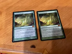 2X PRIMEVAL BOUNTY MN to good condition - Image 1
