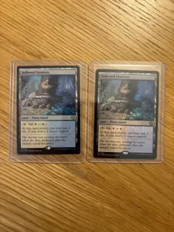 2 x Hallowed Fountain (0265) (Foil) MTG Lorwyn Eclipsed (two cards) - Image 1