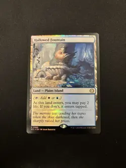 2 x Hallowed Fountain (0265) (Foil) MTG Lorwyn Eclipsed (two cards) - Image 2