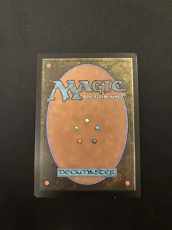 2 x Hallowed Fountain (0265) (Foil) MTG Lorwyn Eclipsed (two cards) - Image 3