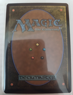 MTG, Nature's Rhythm-Tarkir: Dragonstorm Regular NM - Image 2