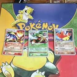 Pokemon TCG Card Lot Binder Holo Infernape X Torterra X Hariyama ex Palawan Fate - Image 1