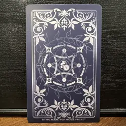 Cu Chulainn Alter Stage 5 Berserker FGO Fate Grand Order Arcade Card Holo/Fatal - Image 4