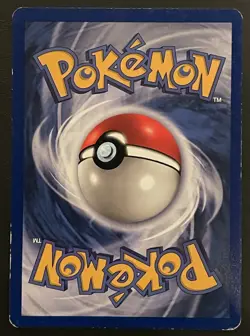 Pokemon TCG - Charmeleon - 24/102 - Uncommon Unlimited - Base Set - Image 2