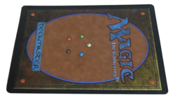 Magic the Gathering Sylvan Library 4th ED Rare Green Enchantment MTG Card 1995 - Image 2