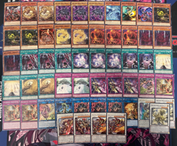 YUGIOH - TENYI DECK - VISHUDA, MAPURA, SHAMAN OF THE, DENGLONG, SWORDSOUL ~ - Image 1