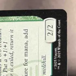 Badgermole Cub NM Non-Foil M 0167 TLA EN Magic The Gathering 2025 MTG - Image 5