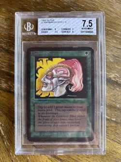 MTG Alpha, BGS Graded 2 Card Lot, Celestial Prism BGS 8, Llanowar Elves BGS 7.5 - Image 5