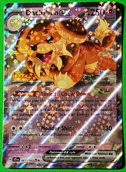 Dachsbun ex 067/142 Stellar Crown Double Rare Holo Pokemon TCG Card NM - Image 1