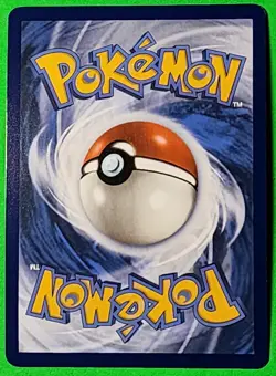 Dachsbun ex 067/142 Stellar Crown Double Rare Holo Pokemon TCG Card NM - Image 2