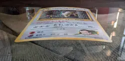 Pokemon Giovanni's Persian Challenge from the Darkness Holo Rare 60 HP Japanese - Image 3