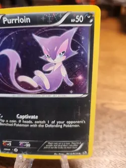 Purrloin RC13/RC25 Holo Radiant Collection 2013 Pokemon TCG - Image 3