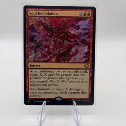 Magic The Gathering: Soul Immolation Lorwyn Eclipsed Regular MTG - Image 1