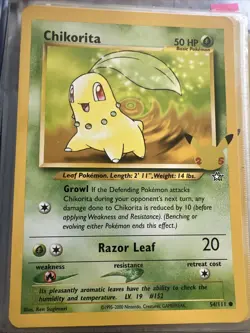 3 Jumbo Johto 25th Anniversary Starter Pokemon Cards - Image 3