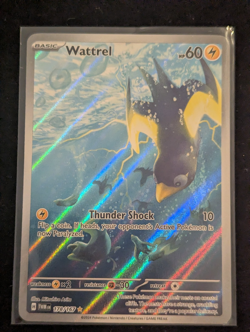 Pokemon TCG Wattrel Card 178/167 S&V Twilight Masquerade IR NM Pokemon Tcg - Image 1