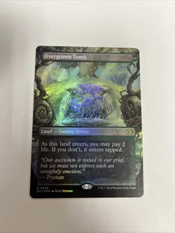 Overgrown Tomb Borderless Foil Card #0350 MTG LP - Image 1