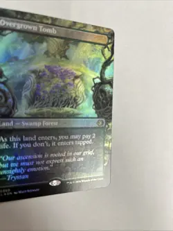 Overgrown Tomb Borderless Foil Card #0350 MTG LP - Image 2