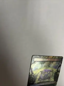 Overgrown Tomb Borderless Foil Card #0350 MTG LP - Image 4