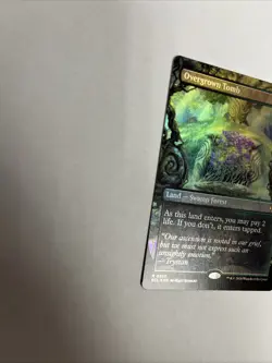 Overgrown Tomb Borderless Foil Card #0350 MTG LP - Image 5