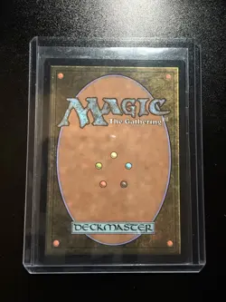 Windswept Heath Near Mint, English ZNR: Extras MTG Magic - Image 2