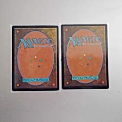 MtG Magic the Gathering AFR lot, Fighter Class, AFC Wild-Magic Sorcerer, BONUS - Image 2