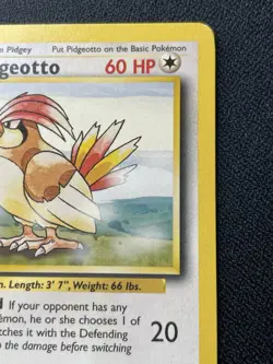 Pokemon Pidgeotto 22/102 Base Set WOTC TCG 1999 Vintage Non-Holo Rare Card LP - Image 3
