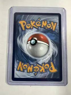 Torkoal V 024/202 - Sword and Shield Base Set Pokemon Card - Image 2