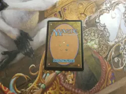 Spellbook Vendor Extended Art Foil MTG Wilds Of Eldraine - Pack Fresh - - Image 2