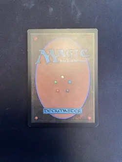 Rejuvenating springs MTG LP - Image 2