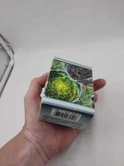 Magic The Gathering Fifth Dawn Empty Box - Image 5