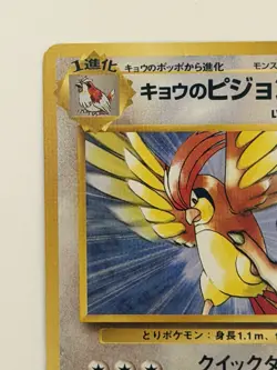 Koga's Pidgeotto No.017 Gym Challenge Old Back Japanese Pokemon Card From Japan - Image 2
