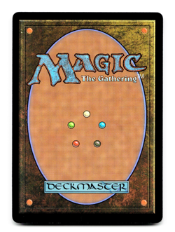 Trailtracker Scout (Extended Art) - [Commander: Bloomburrow] Magic MTG NM 🌳 - Image 2