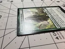 Trading card singles for Magic the Gathering: Dionus, Elvish Archdruid - Image 4