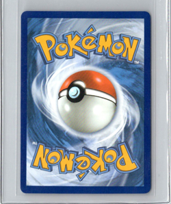 Mega Sharpedo ex 113/094 Ultra Rare Pokemon TCG Phantasmal Flames NM - Image 2