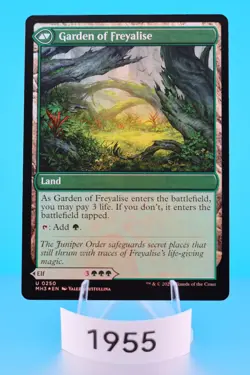 MTG Disciple of Freyalise Modern Horizons 3 Foil #250 - Image 2