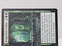 Walk-In Closet Forgotten Cellar Duskmourn: House of Horror Regular - Image 2