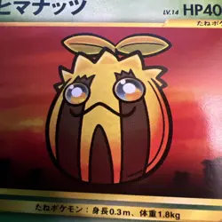 Sunkern No.191 Neo Destiny Japanese Old Back Vintage Pocket Monster Pokemon TCG - Image 2