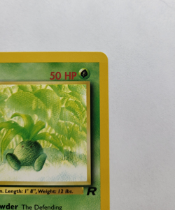 Oddish 63/82 - 1st Edition Team Rocket Vintage Pokemon Card - NM - Image 2
