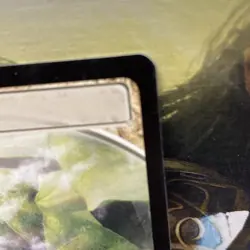 Horizon Canopy 177 Future Sight Regular MTG TCG CARD NM - Image 4